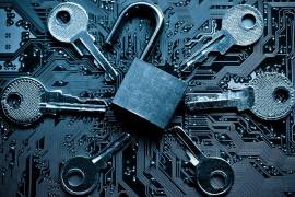 Plantean tratar bases de datos como infraestructura crítica, con participación de instancias federales en su resguardo.