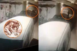 El video de pocos minutos de duración se ha viralizado en TikTok, donde los usuarios se cuestionan si en realidad se trata de un nahual o alguien dormido en la caja del auto