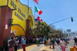 Six Flags informó que no se derribará ni un sólo árbol para la instalación del juego mecánico Roller Coaster.