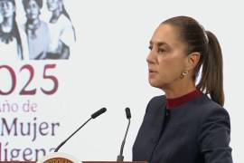 La proyección inicial del Gobierno federal estimaba alrededor de 100 mil damnificados por el impacto del fenómeno meteorológico.