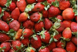 Si se confirma el margen preliminar, los gravámenes podrían comenzar a cobrarse a finales de junio de 2026, afectando la competitividad de exportación agrícola de México.