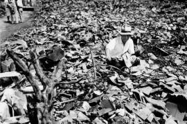 Conmemora Nagasaki 75 años del 'infierno' de la bomba atómica