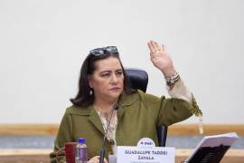 Ambas comisiones recibirán a la consejera presidenta del Instituto Nacional Electoral, Guadalupe Taddei.