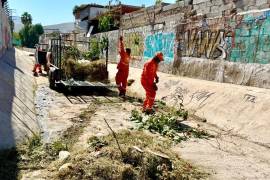 Personal de “La Ola” realiza labores de limpieza en el canal de la colonia Victoria.