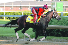 Classic Empire, el favorito en Kentucky