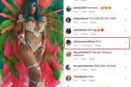 Chris Brown comentó la sensual foto de Rihanna y es atacado