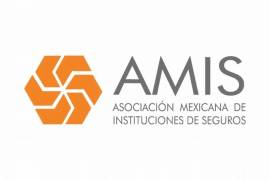 La Asociación Mexicana de Instituciones de Seguros (AMIS) reportó que de mayo de 2023 a abril de 2024 se robaron 61 mil 849 vehículos asegurados, un aumento de 2% en términos anuales.