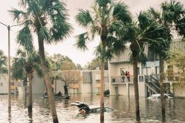 Residentes de Clearwater, Florida, a la espera de ser rescatados de las inundaciones después de que el huracán Milton tocara tierra en la costa del golfo de Florida.