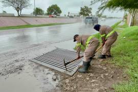 Trabajadores dan mantenimientoa infraestructura pluvial para no afectar las vialidades.