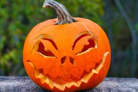 En Irlanda y Escocia, los campesinos tallaban nabos y remolachas con rostros grotescos para ahuyentar espíritus malignos. La costumbre llegó a Estados Unidos en el siglo XIX, donde la calabaza se convirtió en el símbolo icónico de la festividad.