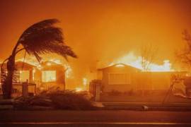 Los árboles se mecen con los fuertes vientos mientras el incendio de Eaton arrasa Altadena, California, el 8 de enero del año pasado.