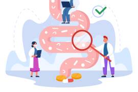 El intestino: Raíz de la salud y la enfermedad