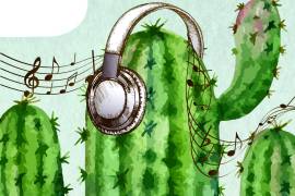 ¿Qué escuchar previo al Cactus Festival? Desde ‘Sapito’, ‘Todo Cuenta’ hasta ‘Gimme Tha Power’
