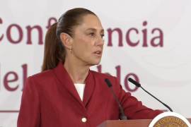 De acuerdo con la información más reciente, el “Plan B” es una versión mucho más acotada de la reforma original.