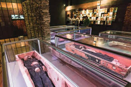 Visitaron 10 mil el Museo de las Momias en Arteaga