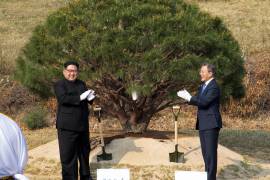 Kim Jong-un y Moon Jae-in plantan un árbol en una simbólica ceremonia