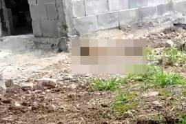 Mientras el canino recibe atención especializada, la Policía Ambiental presentó el Informe Policial Homologado ante la Fiscalía para continuar con las investigaciones.