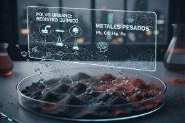 Investigadores realizaron muestreos sistemáticos de polvo urbano en doce municipios de Coahuila para analizar su composición química.