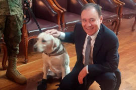 Alfonso Durazo presume su encuentro con la perrita Frida