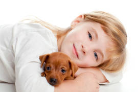 Tener perro reduce el riesgo de asma en los niños