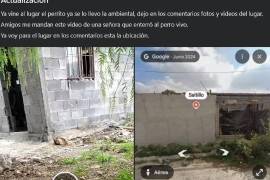 El perro fue localizado dentro de un hoyo al oriente de Saltillo y rescatado por elementos de la Policía Ambiental el pasado viernes.
