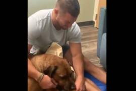 El conmovedor video de Tim Tebow despidiéndose de su perro Bronco