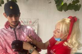 La jornada incluye revisión básica y orientación para evitar la proliferación de garrapatas en el hogar.