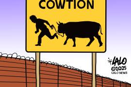 Imagen cedida por Andrews McMeel Syndication de una caricatura del mexicoestadounidense Lalo Alcaraz titulada ‘Cowtion’.
