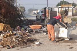 Cuadrillas municipales realizaron trabajos de limpieza para eliminar focos de infección en el oriente de la ciudad.