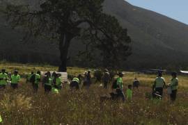 Voluntarios de “Apoya tu Bosque Local” participaron en la plantación de especies nativas durante una jornada de reforestación en la sierra de Arteaga.