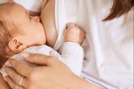 La lactancia materna favorece el trabajo coordinado de músculos faciales y estructuras de la cavidad oral durante la alimentación.