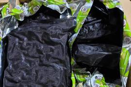 Autoridades aseguraron los paquetes que contenían la marihuana durante la revisión del tractocamión.
