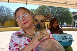 La jornada de atención veterinaria gratuita se realizará en el Centro Comunitario de Parajes de Los Pinos.