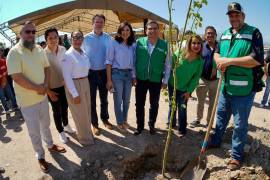 Autoridades, ciudadanos y empresas participaron en la plantación de árboles durante la Megareforestación Estatal realizada en la colonia Villa Sol.