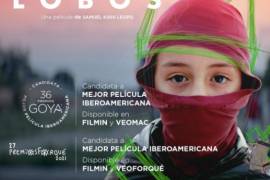 “Los lobos” con la que Samuel Kishi tratará de llevarse el Goya a mejor película iberoamericana. Samuel Kishi/Intstagram