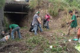 Las acciones se desarrollan en coordinación con las Direcciones de Protección Civil y Ecología.