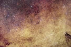 La visión de Euclides sobre el bulbo de nuestra galaxia-