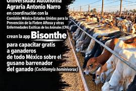 La CPA y la UAAAN impulsaron el desarrollo de la aplicación Bisonthe para facilitar información y reportes relacionados con el gusano barrenador.