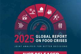 Más de 295 millones de personas sufrieron inseguridad alimentaria aguda en 2024, es decir un aumento del 5 % respecto a los 281 millones del año anterior, alerta la Red Global contra las Crisis Alimentarias (GNAFC).