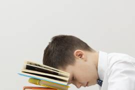 El desempeño escolar depende de diversos factores y desarrollo de la persona.