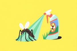 Está claro que usar plaguicidas en grandes superficies puede matar o dañar otros insectos aparte de los mosquitos y las garrapatas.