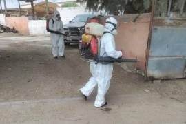 Personal de vectores realizó fumigación en la colonia Lázaro Cárdenas como parte del cerco sanitario preventivo contra la Rickettsia.