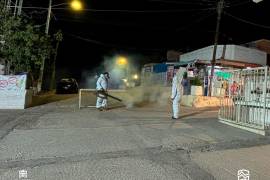 Por parte de la Jurisdicción Sanitaria No. 6 se están haciendo barridos y fumigación en las colonias donde se han detectado casos positivos.