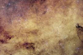 La visión de Euclides sobre el bulbo de nuestra galaxia-