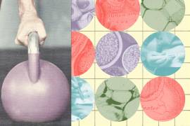 La salud metabólica es un concepto cada vez más mencionado en medicina, bienestar y prevención.