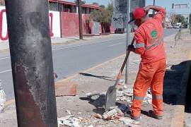 La reforestación ayuda a reducir el impacto del calor en la vía pública y aporta beneficios ambientales a largo plazo y la limpieza acaba con la contaminación y el mal aspecto.