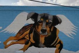 La memoria de Scooby permanecerá en las calles de ese municipio, luego que el artista homenajeara al perrito.