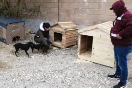 Diez nuevas ‘casitas’ serán habilitadas en Piedras Negras para proteger a las mascotas ante las altas temperaturas.