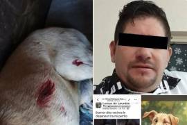Colectivos de protección animal demandaron una sanción ejemplar por el ataque que dejó a “Popi” sin una de sus patas.