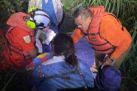 Elementos del Grupo Beta durante el operativo nocturno en la ribera del Río Bravo, en Piedras Negras.